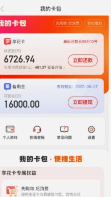 羊小咩备用金：为什么没有提现按钮？