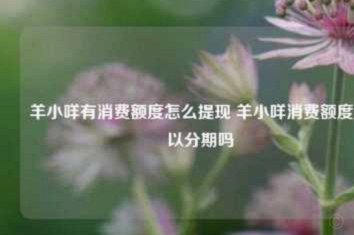 羊小咩备用金为何无法手动提现？