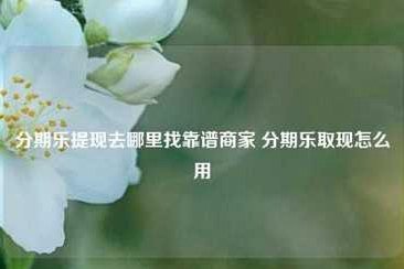 分期乐借款额度怎么用