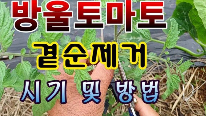 桃多多提现详细教程：操作流程与安全须知