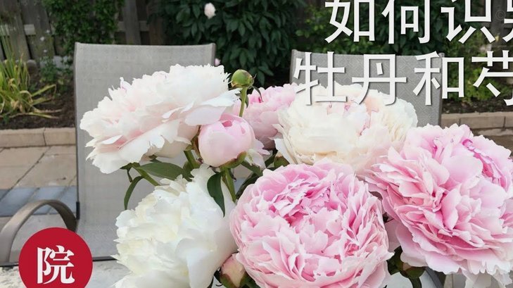 花呗套现真的可行安全吗？真相揭秘