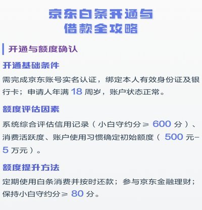 白条借款全解析：额度、机制与风险