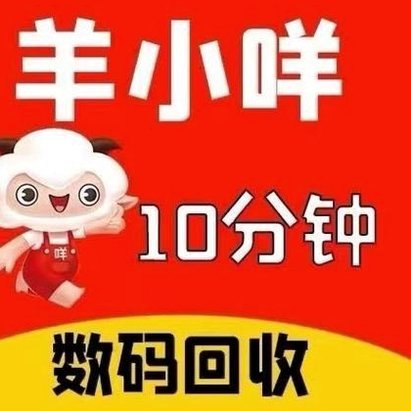 羊小咩怎么只有消费额度