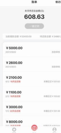 羊小咩贷款申请攻略：解锁商业潜力