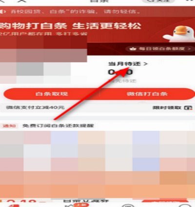 京东白条的智慧运用：解锁价值循环新思维