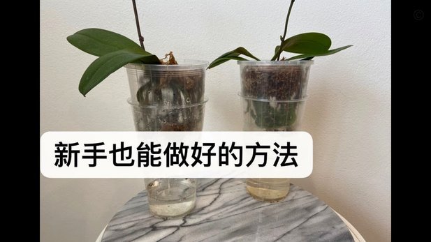 拿去花额度换现方法