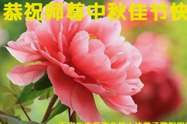 套花呗背后的四大风险点
