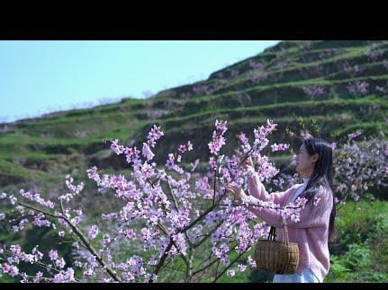 秒提秒到账花呗