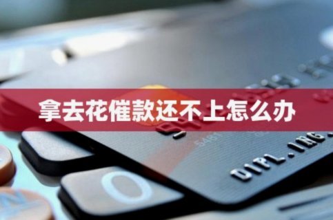 拿去花能提现吗