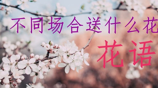 花呗能用的购物平台有哪些？