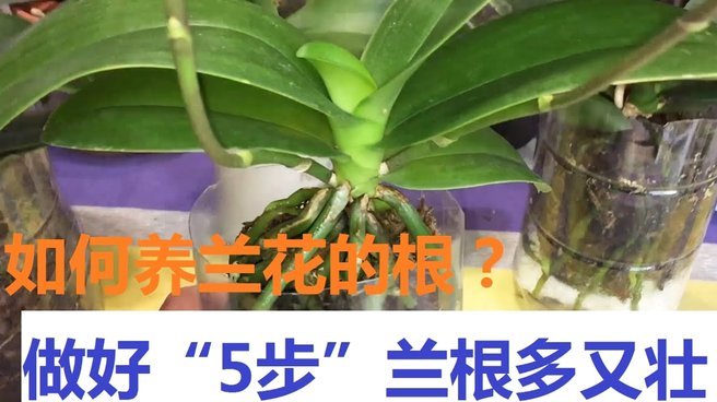怎么用花呗快速套现