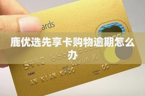 鹿优选先享卡提现