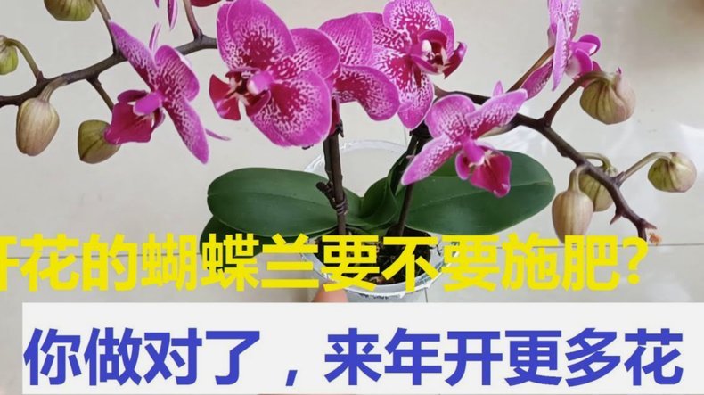 花呗背后的隐患：我们不该忽视的四大风险点