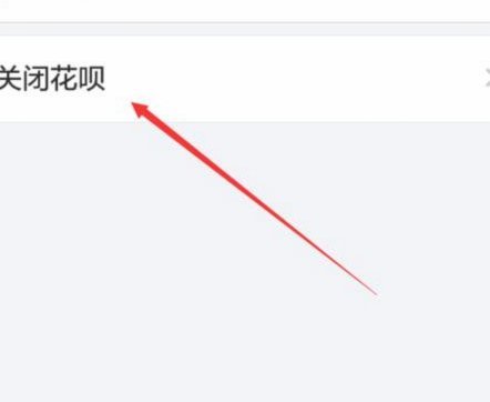花呗小额支付功能调整背后的原因与影响
