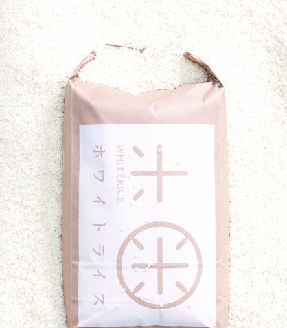 白条额度支付全解析