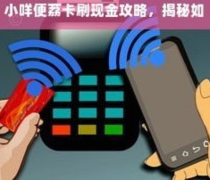 便荔卡支付全攻略：从激活到实现商业价值的完整指南