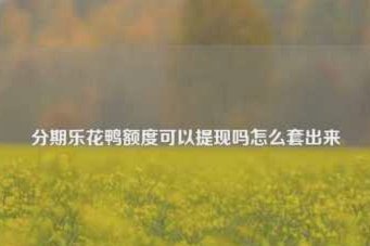 分期乐提现全攻略：银行卡与第三方支付操作指南