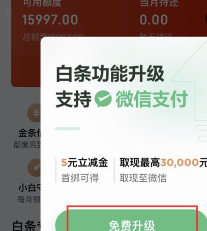 白条平台是什么