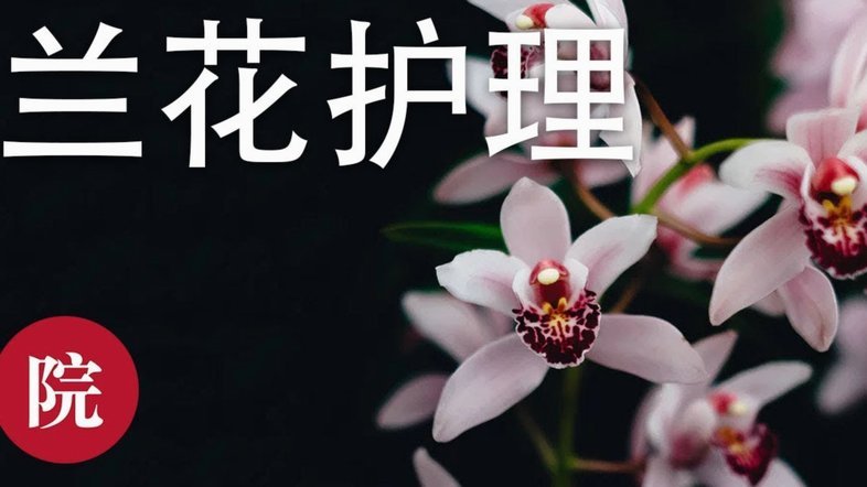 花呗平台贷款合法吗是真的吗