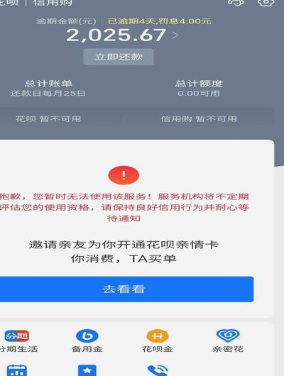 花呗爆火：揭秘其成功的秘密