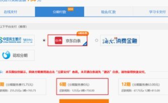 白条支付平台选择指南