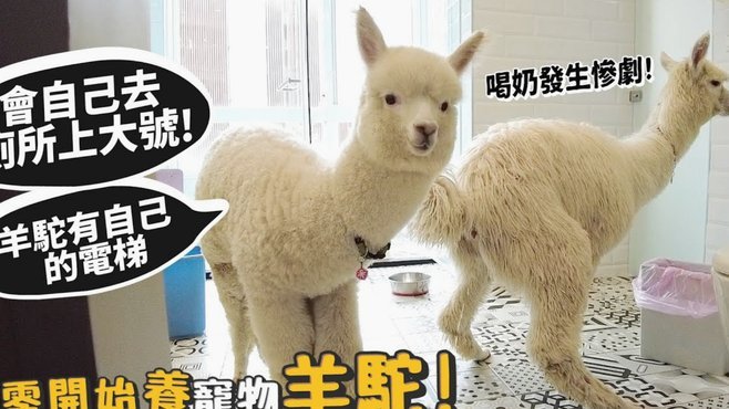 得物月付可以提现吗？