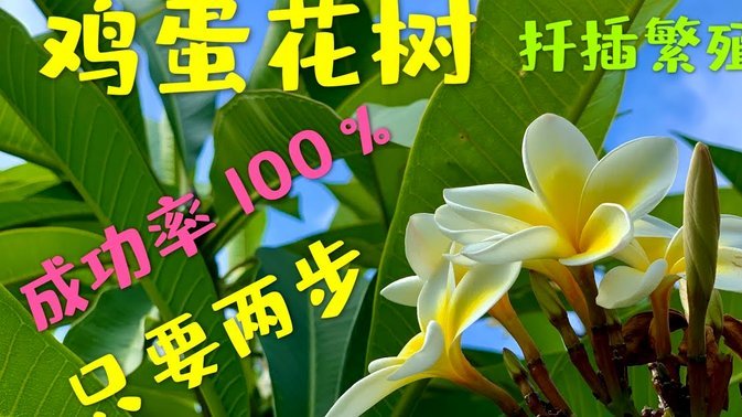 携程套现30点算贵吗？深层原因解读