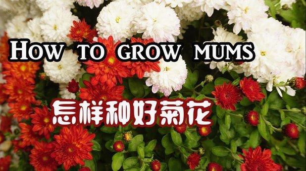 快速利用信用卡额度