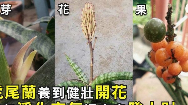 怎么套拿去花的额度