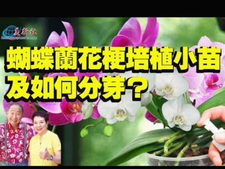 花呗给别人套现风险有多大？