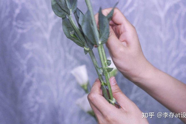 如何巧妙利用“拿去花”服务不陷入财务陷阱？