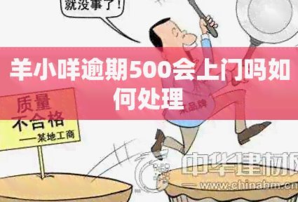 羊小咩500