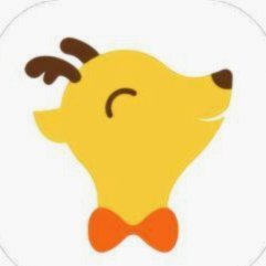 鹿优课怎么样