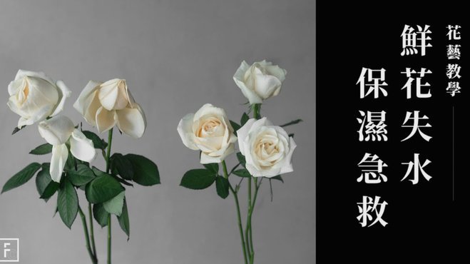 花呗提现怎么操作？