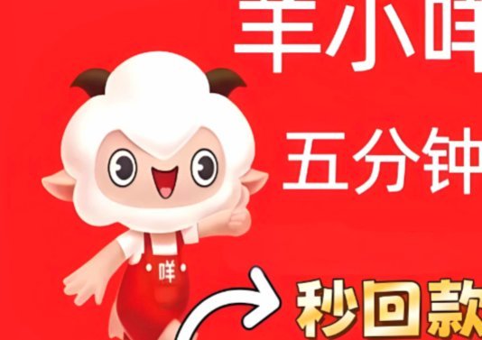 羊小咩逾期不还会怎么样