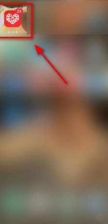 拼多多信用付在哪里