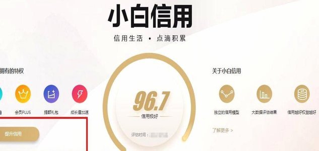 安全提现白条的三种技巧