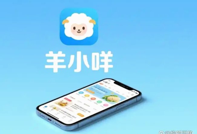 羊小咩公司在哪里