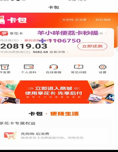 羊小咩手机真值得买吗？深度测评其设计与实用性