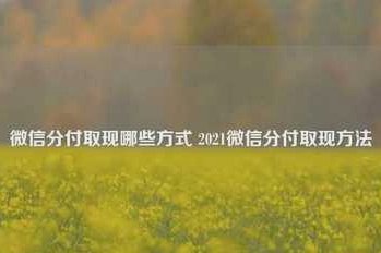 分付提现指南：安全取款技巧